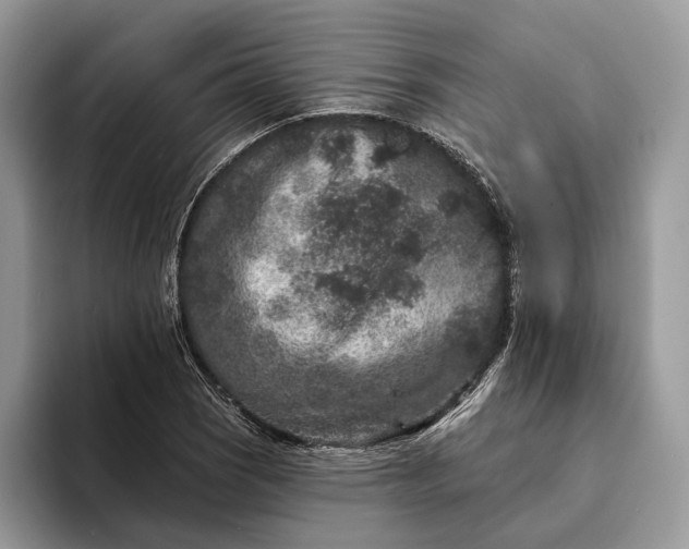 X0000094171121200711091119