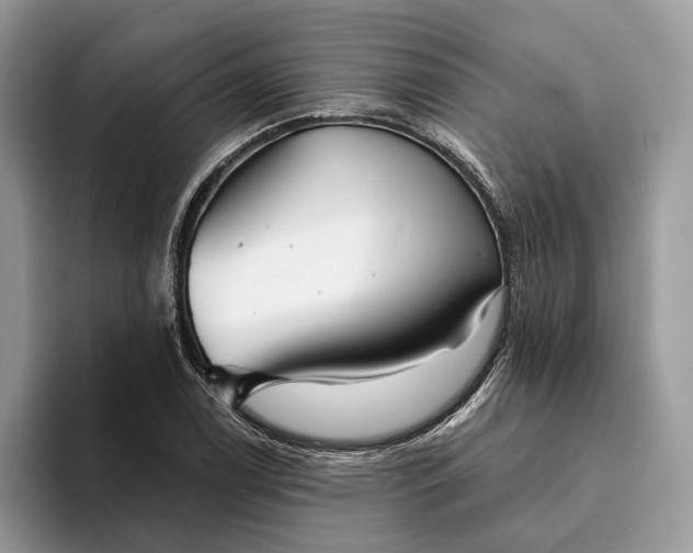X0000094171122200711091119