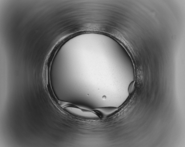 X0000094171123200711091119