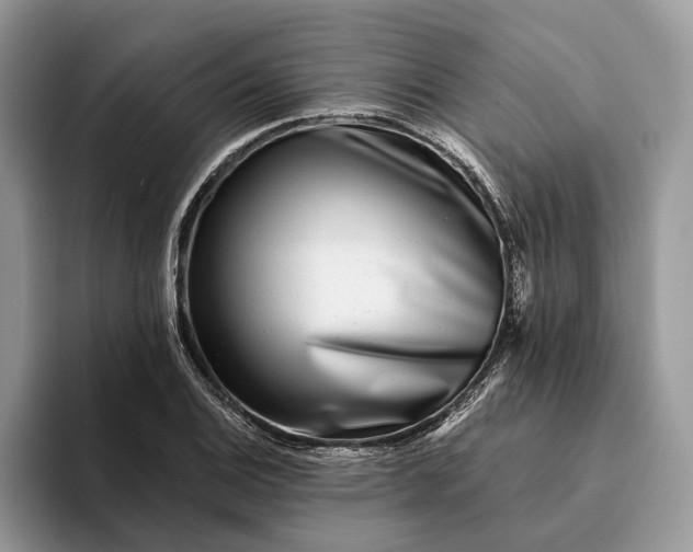 X0000094171124200711091119