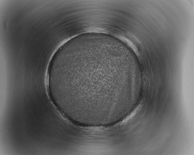 X0000094171125200711091119