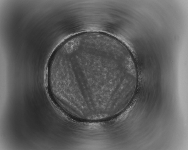 X0000094171126200711091119