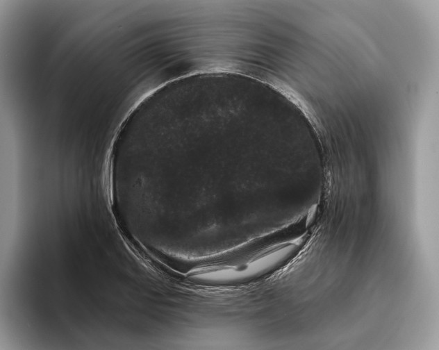 X0000094171127200711091119
