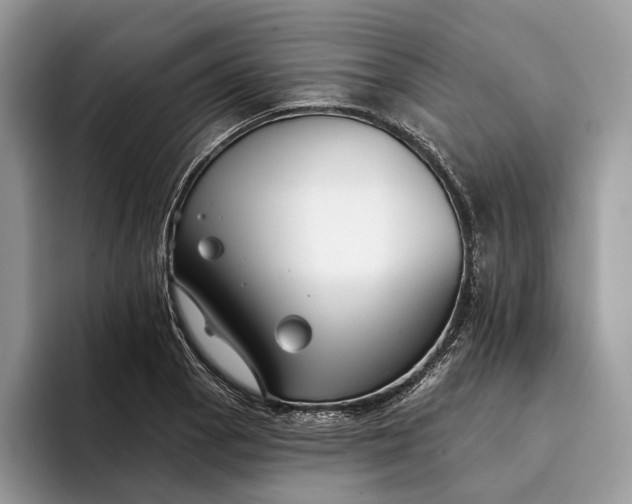 X0000094171129200711091119