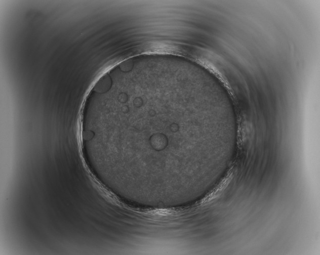X0000094171130200711091119