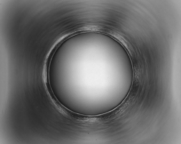 X0000094171131200711091119