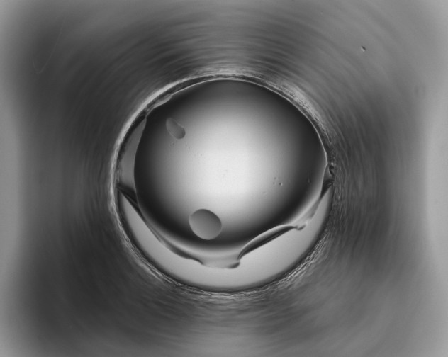 X0000094171132200711091119