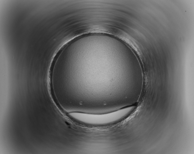 X0000094171133200711091119