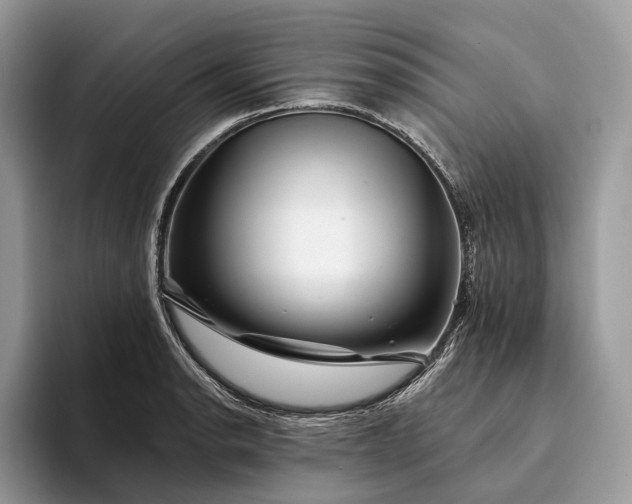 X0000094171134200711091119