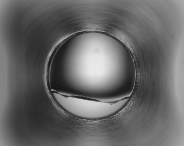X0000094171136200711091119
