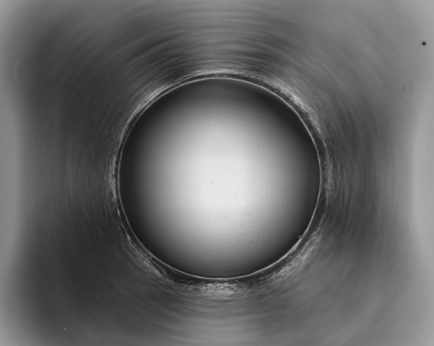 X0000094171137200711091119