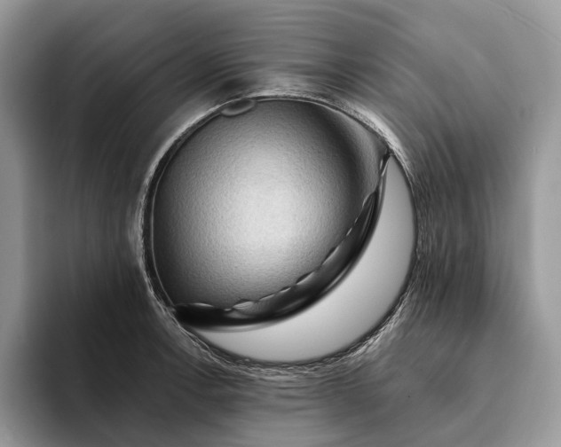 X0000094171138200711091119