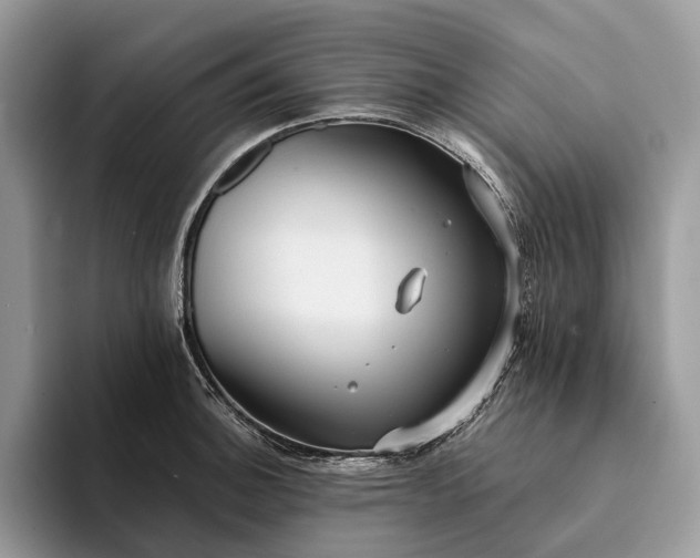 X0000094171140200711091119
