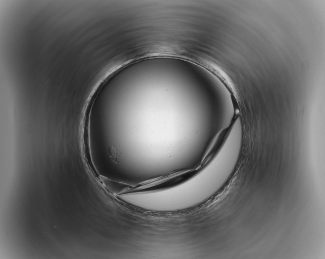 X0000094171146200711091119