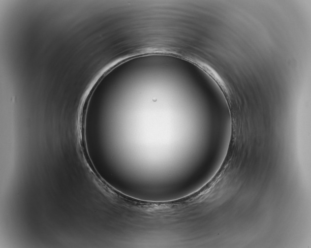 X0000094171148200711091119