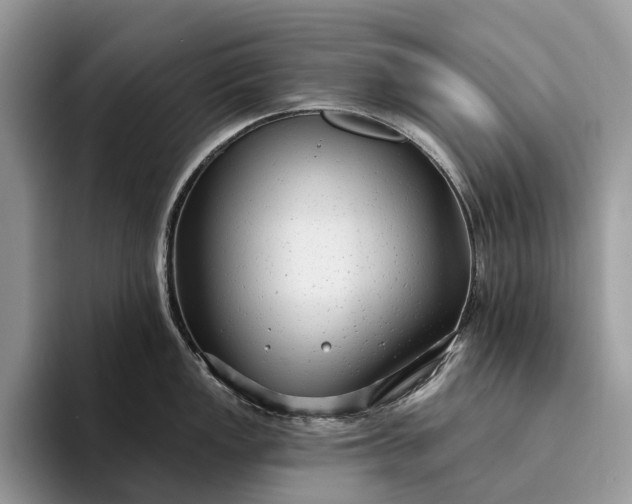 X0000094171149200711091119