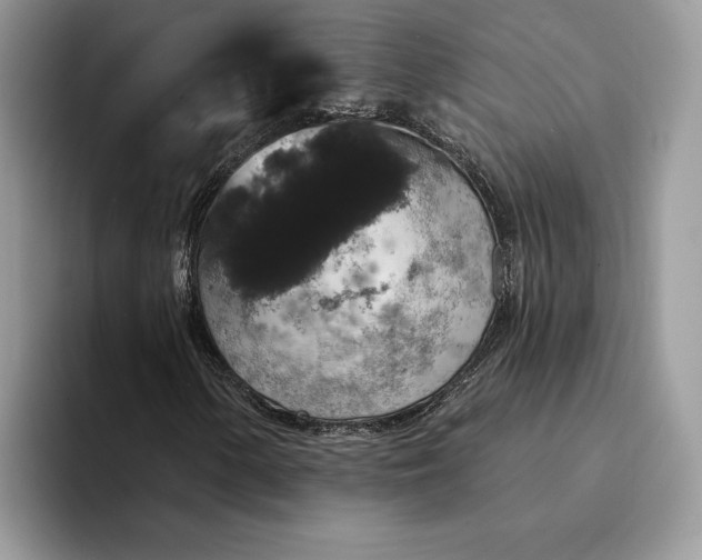 X0000094171154200711091119