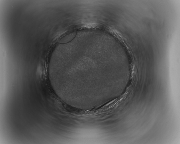 X0000094171158200711091119