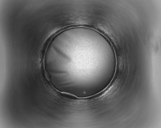 X0000094171163200711091119