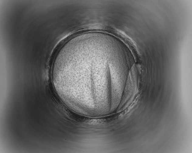 X0000094171166200711091119