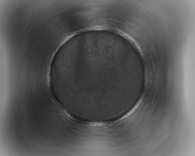 X0000094171170200711091119