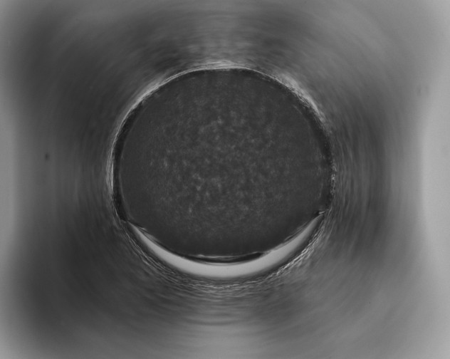 X0000094171173200711091119