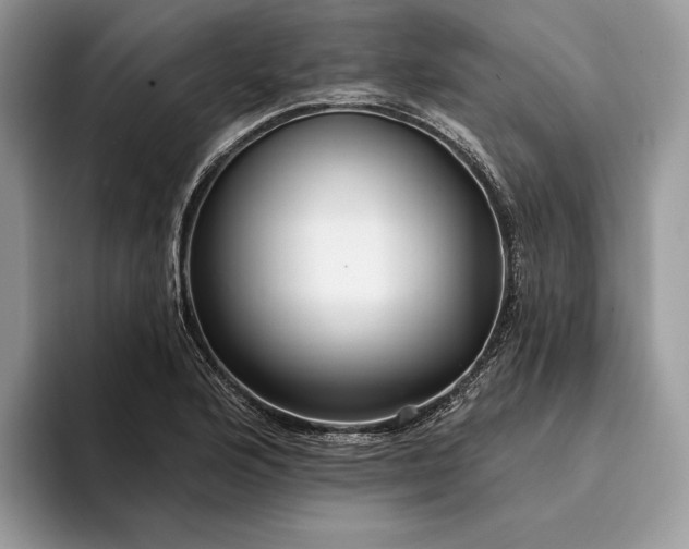 X0000094171176200711091119
