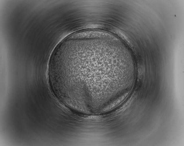 X0000094171178200711091119