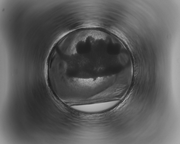 X0000094171179200711091118