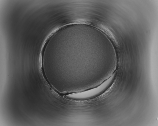 X0000094171180200711091118