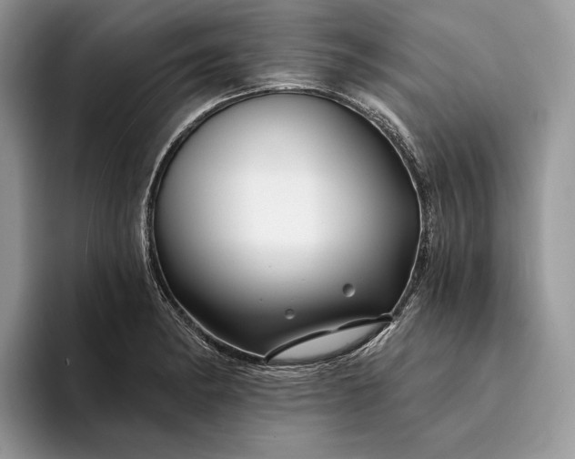 X0000094171182200711091118