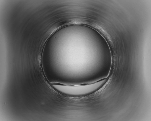 X0000094171185200711091118