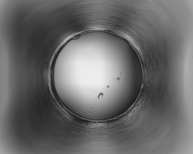 X0000094171187200711091118