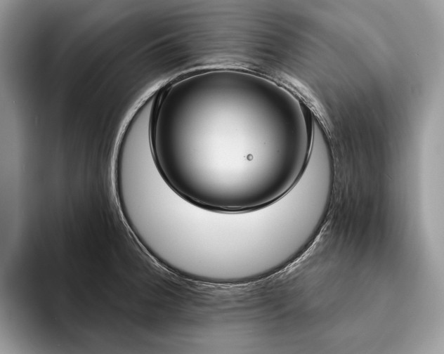 X0000094171188200711091118
