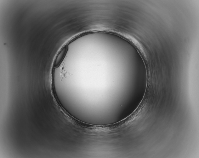 X0000094171191200711091118