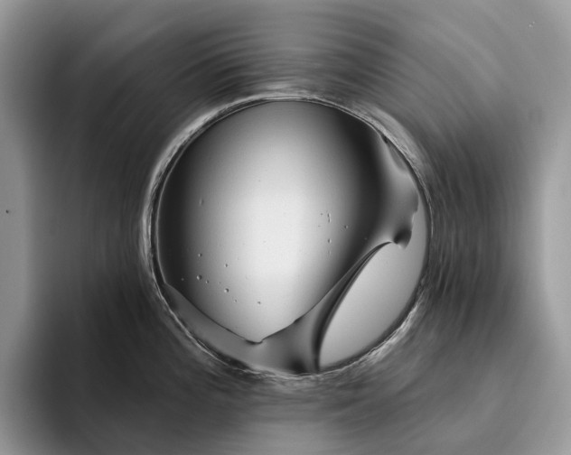 X0000094171196200711091118