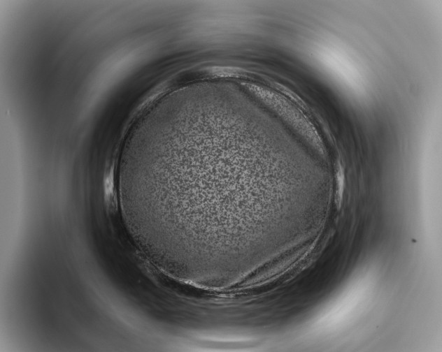 X0000094171198200711091118