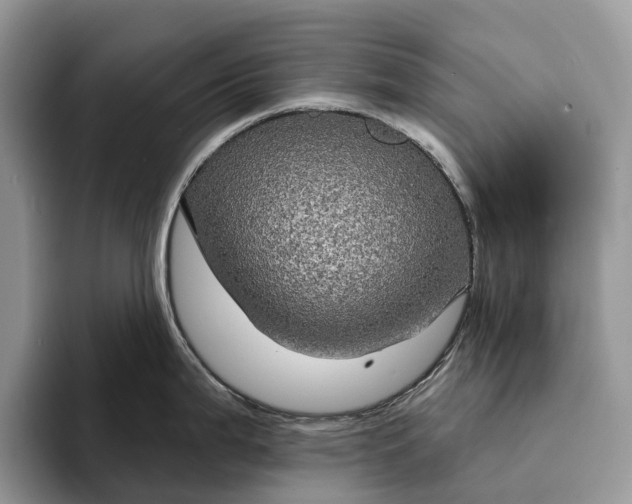 X0000094171199200711091118