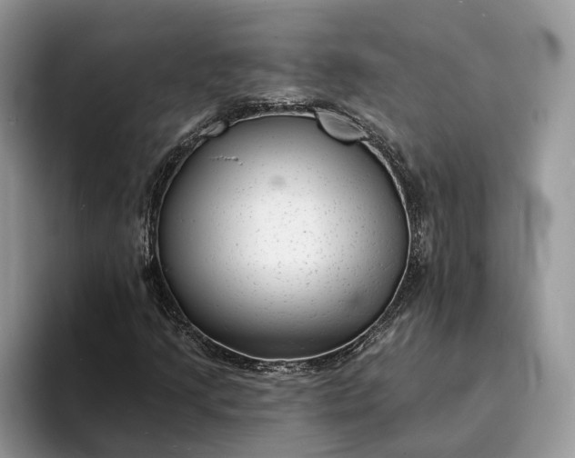 X0000094171205200711091118