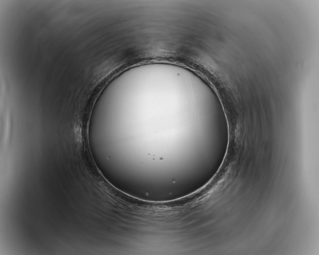 X0000094171209200711091118