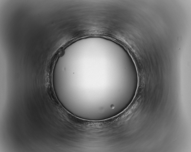 X0000094171211200711091118