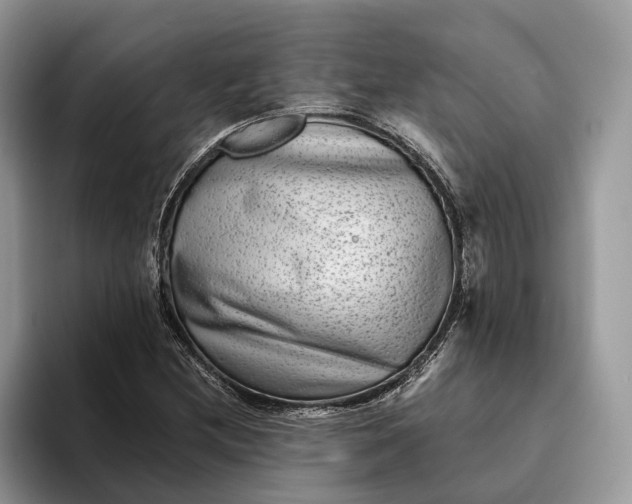 X0000094171212200711091118