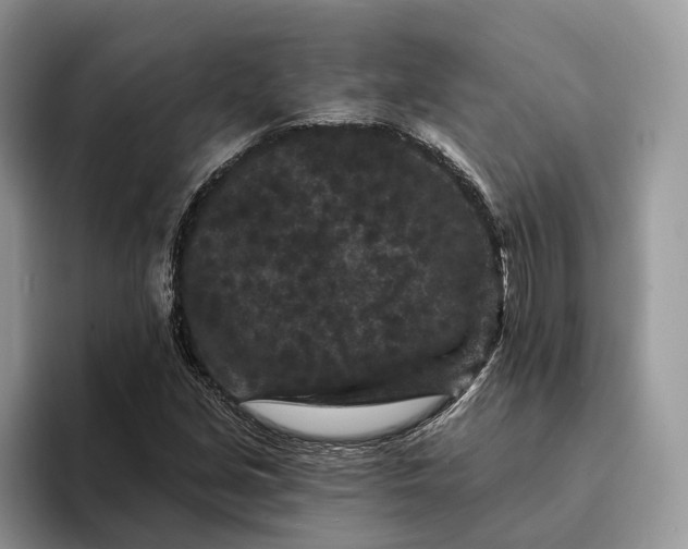 X0000094171213200711091118
