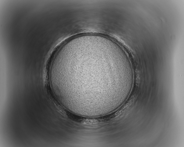 X0000094171215200711091118