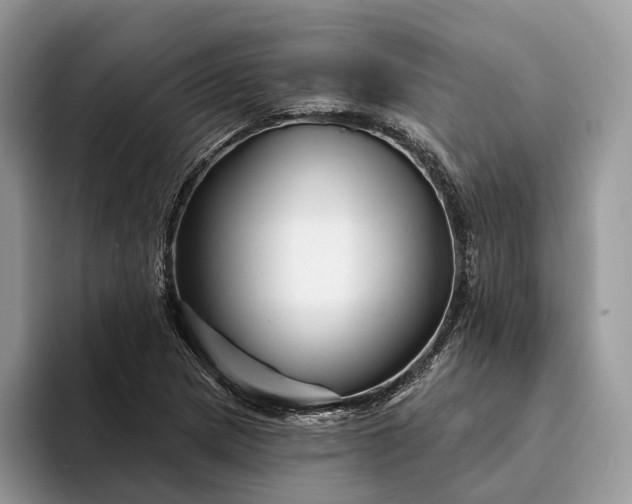 X0000094171217200711091118