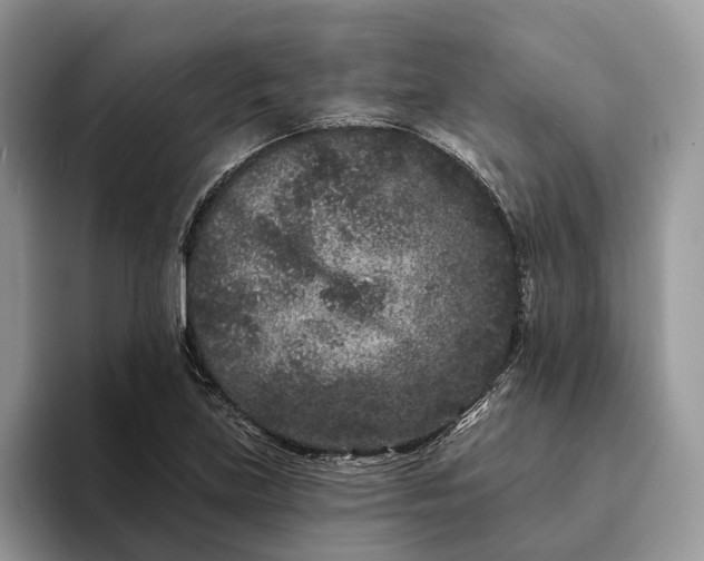 X0000094171219200711091118