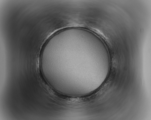X0000094171220200711091118