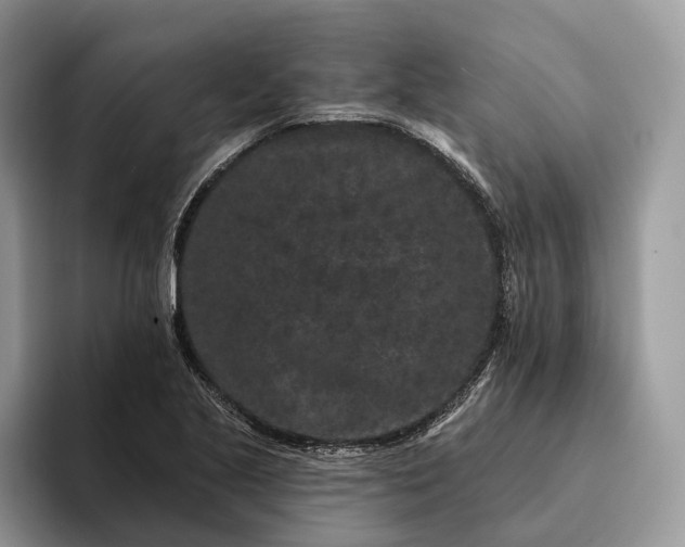 X0000094171221200711091118
