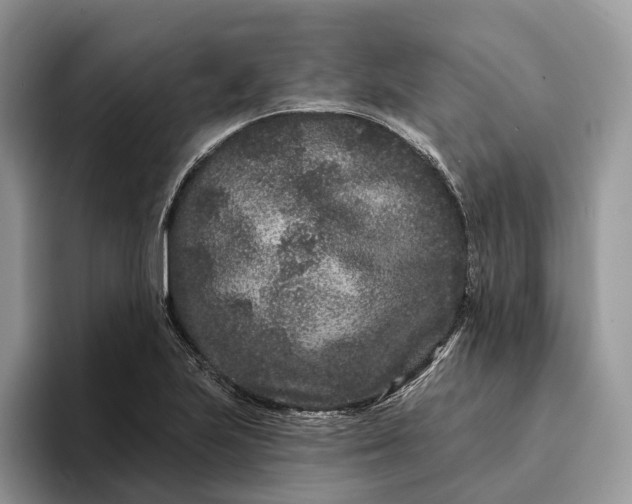 X0000094171223200711091118