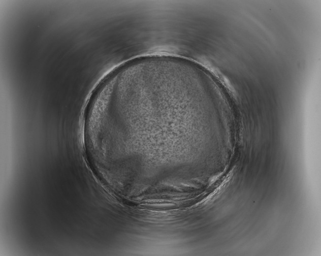X0000094171224200711091118
